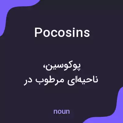معنی pocosins به فارسی معنی pocosins به فارسی