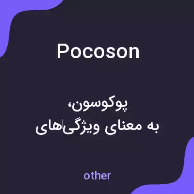معنی pocoson به فارسی معنی pocoson به فارسی