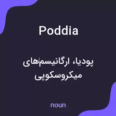 معنی poddia به فارسی معنی poddia به فارسی