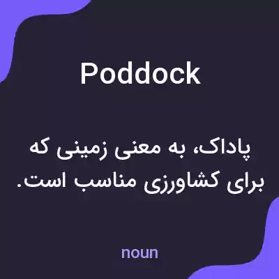 معنی poddock به فارسی معنی poddock به فارسی