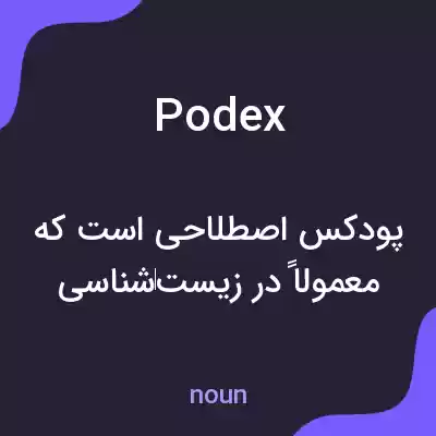 معنی podex به فارسی معنی podex به فارسی