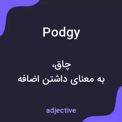 معنی podgy به فارسی