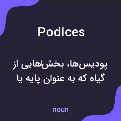 معنی podices به فارسی معنی podices به فارسی