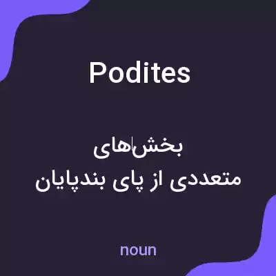 معنی podites به فارسی معنی podites به فارسی