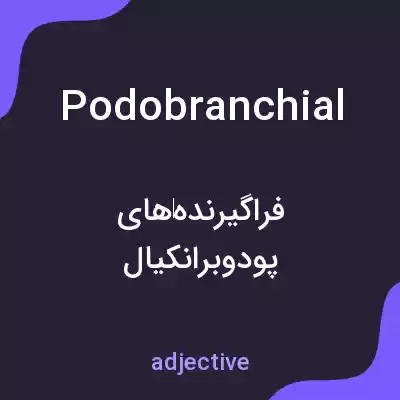 معنی podobranchial به فارسی معنی podobranchial به فارسی