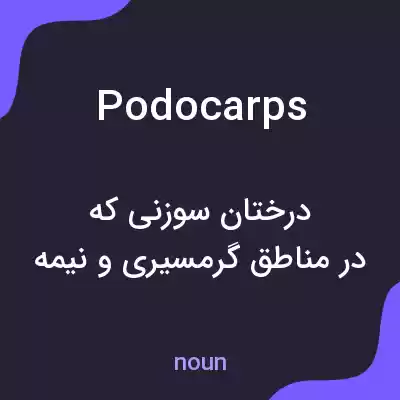 معنی podocarps به فارسی معنی podocarps به فارسی