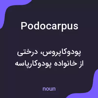 معنی podocarpus به فارسی معنی podocarpus به فارسی