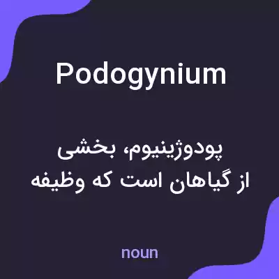 معنی podogynium به فارسی معنی podogynium به فارسی