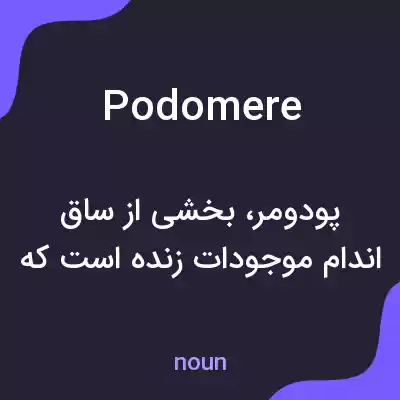 معنی podomere به فارسی معنی podomere به فارسی