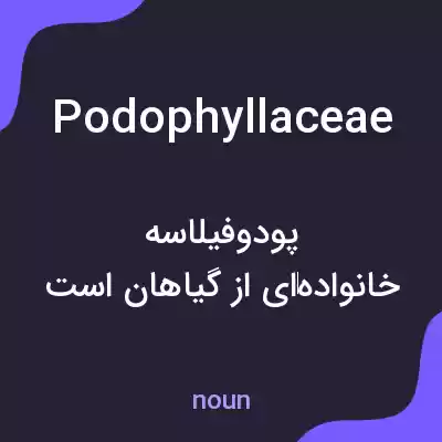 معنی podophyllaceae به فارسی معنی podophyllaceae به فارسی