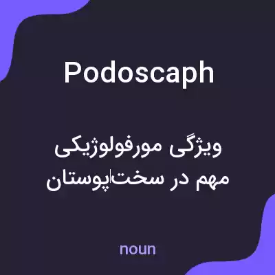 معنی podoscaph به فارسی معنی podoscaph به فارسی