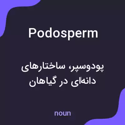 معنی podosperm به فارسی معنی podosperm به فارسی