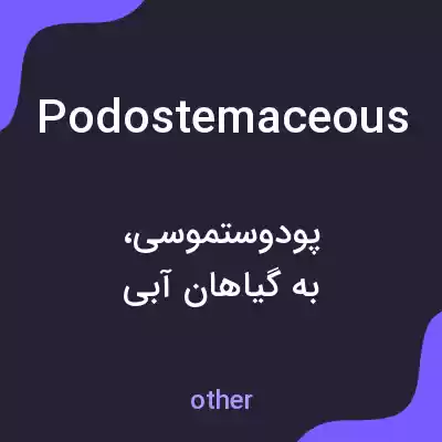 معنی podostemaceous به فارسی معنی podostemaceous به فارسی
