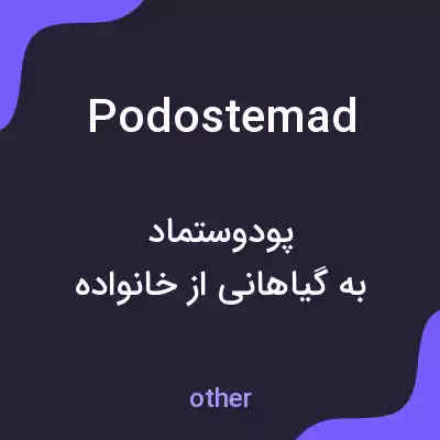معنی podostemad به فارسی معنی podostemad به فارسی
