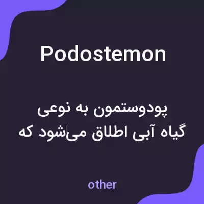 معنی podostemon به فارسی معنی podostemon به فارسی