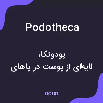 معنی podotheca به فارسی معنی podotheca به فارسی