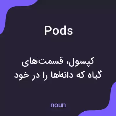 معنی pods به فارسی معنی pods به فارسی