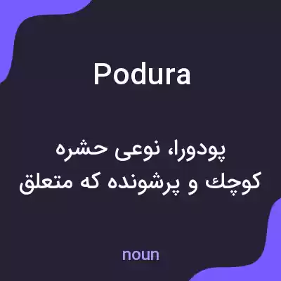 معنی podura به فارسی معنی podura به فارسی