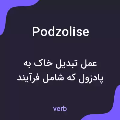 معنی podzolise به فارسی