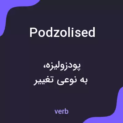 معنی podzolised به فارسی معنی podzolised به فارسی