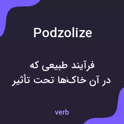 معنی podzolize به فارسی معنی podzolize به فارسی