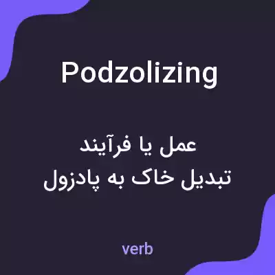 معنی podzolizing به فارسی معنی podzolizing به فارسی