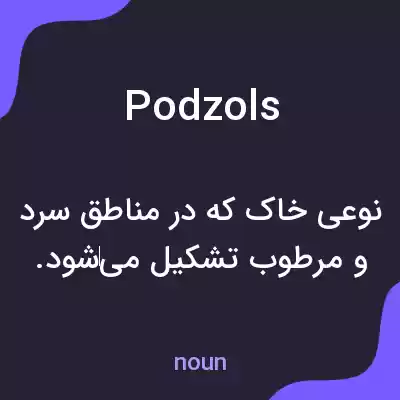 معنی podzols به فارسی معنی podzols به فارسی