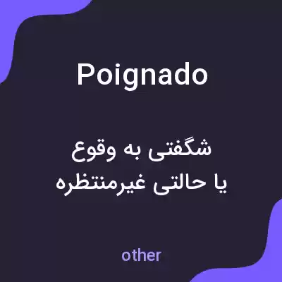 معنی poignado به فارسی معنی poignado به فارسی