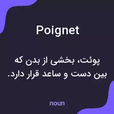 معنی poignet به فارسی معنی poignet به فارسی