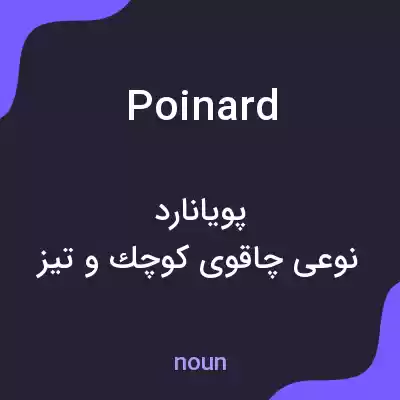 معنی poinard به فارسی معنی poinard به فارسی