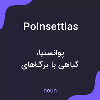 معنی poinsettias به فارسی معنی poinsettias به فارسی
