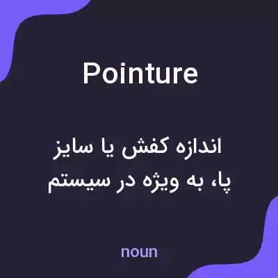 معنی pointure به فارسی معنی pointure به فارسی