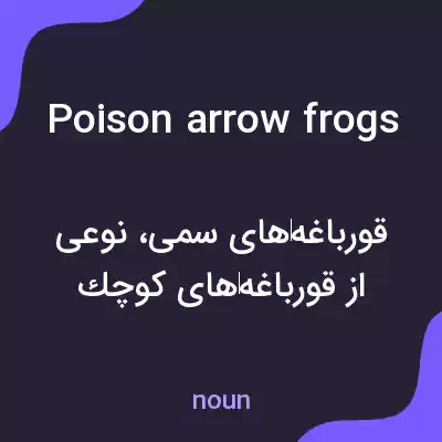 معنی poison arrow frogs به فارسی معنی poison arrow frogs به فارسی
