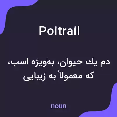 معنی poitrail به فارسی معنی poitrail به فارسی