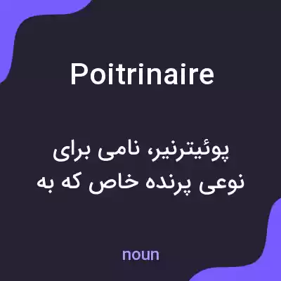 معنی poitrinaire به فارسی معنی poitrinaire به فارسی