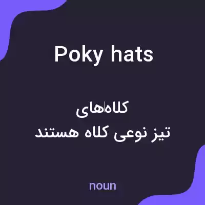 معنی poky hats به فارسی معنی poky hats به فارسی