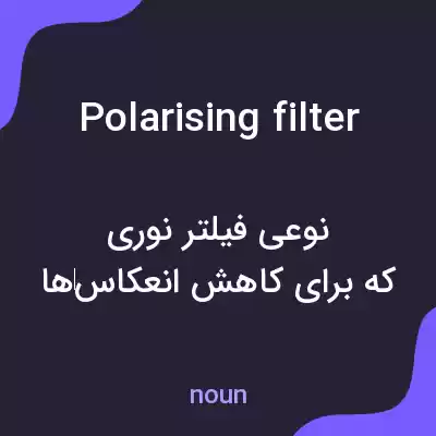 معنی polarising filter به فارسی معنی polarising filter به فارسی