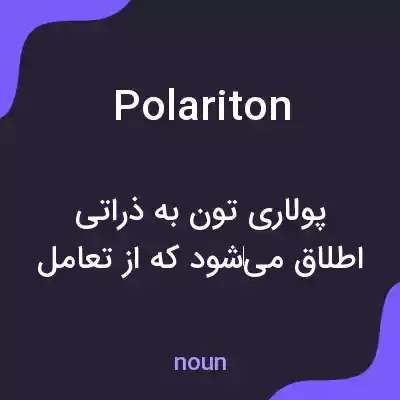 معنی polariton به فارسی معنی polariton به فارسی