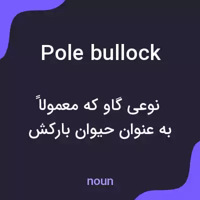 معنی pole bullock به فارسی معنی pole bullock به فارسی