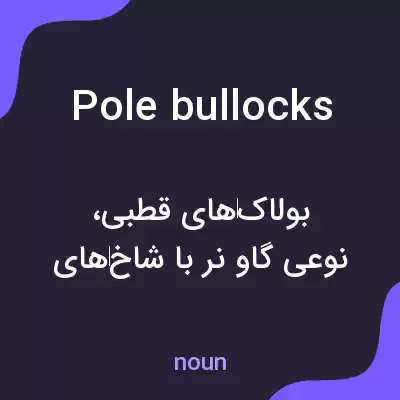 معنی pole bullocks به فارسی معنی pole bullocks به فارسی