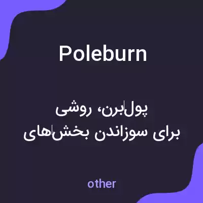 معنی poleburn به فارسی معنی poleburn به فارسی