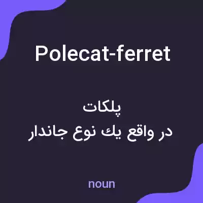 معنی polecat-ferret به فارسی معنی polecat-ferret به فارسی