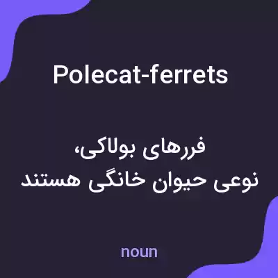 معنی polecat-ferrets به فارسی معنی polecat-ferrets به فارسی