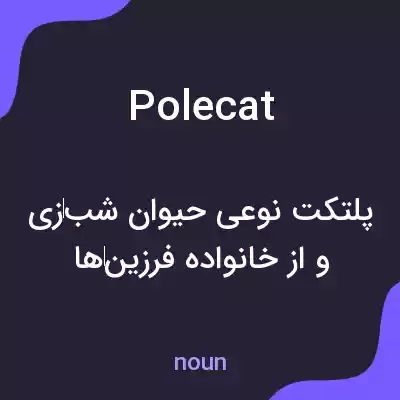 معنی polecat به فارسی
