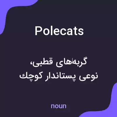معنی polecats به فارسی معنی polecats به فارسی
