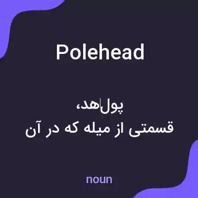 معنی polehead به فارسی معنی polehead به فارسی