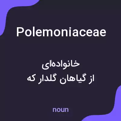 معنی polemoniaceae به فارسی معنی polemoniaceae به فارسی