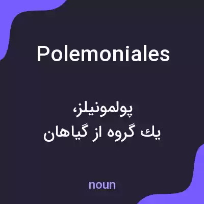 معنی polemoniales به فارسی معنی polemoniales به فارسی