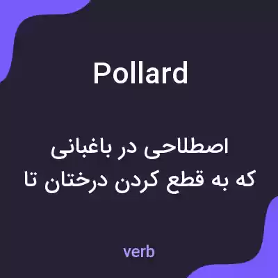 معنی pollard به فارسی معنی pollard به فارسی