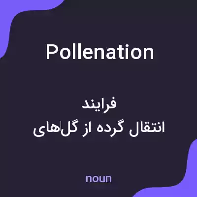 معنی pollenation به فارسی معنی pollenation به فارسی